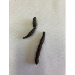 Fava Bejerecum - 15g
