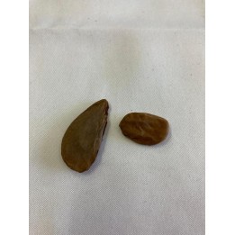 Fava Aberé