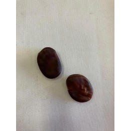 Fava Corta Feitiço