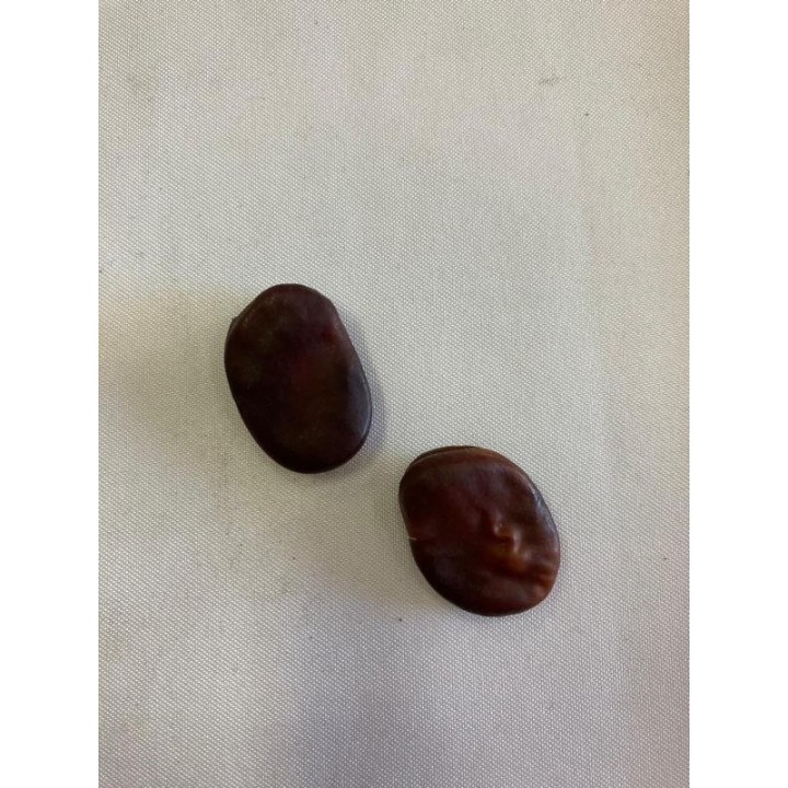 Fava Corta Feitiço