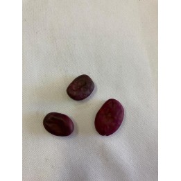 Fava Corta Inveja