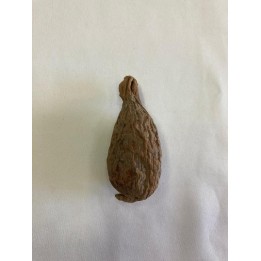 Fava Atáré