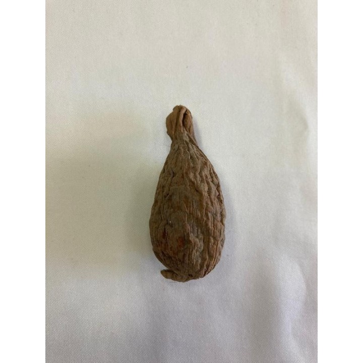 Fava Atáré