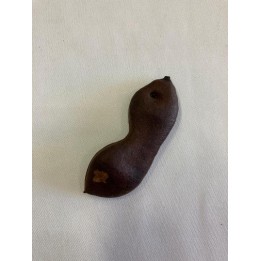 Fava de Jatobá