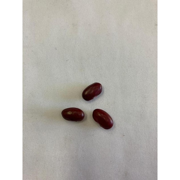 Fava de Ogun