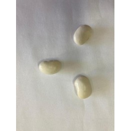 Fava de Oxalá