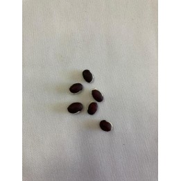 Fava de Preto Velho