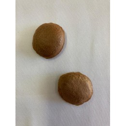 Fava de Sucupira