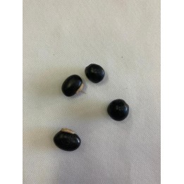 Fava Mucunã Preta