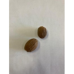 Fava Noz Moscada