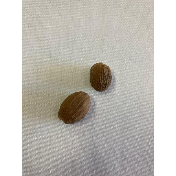 Fava Noz Moscada