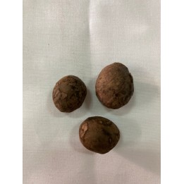 Fava Obaluaye