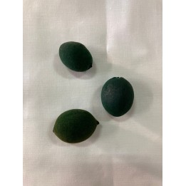 Fava de Logun Ede