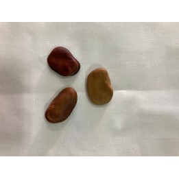 Fava Corta Inveja