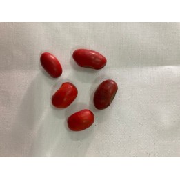 Fava de Ogun