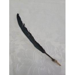 Alokó